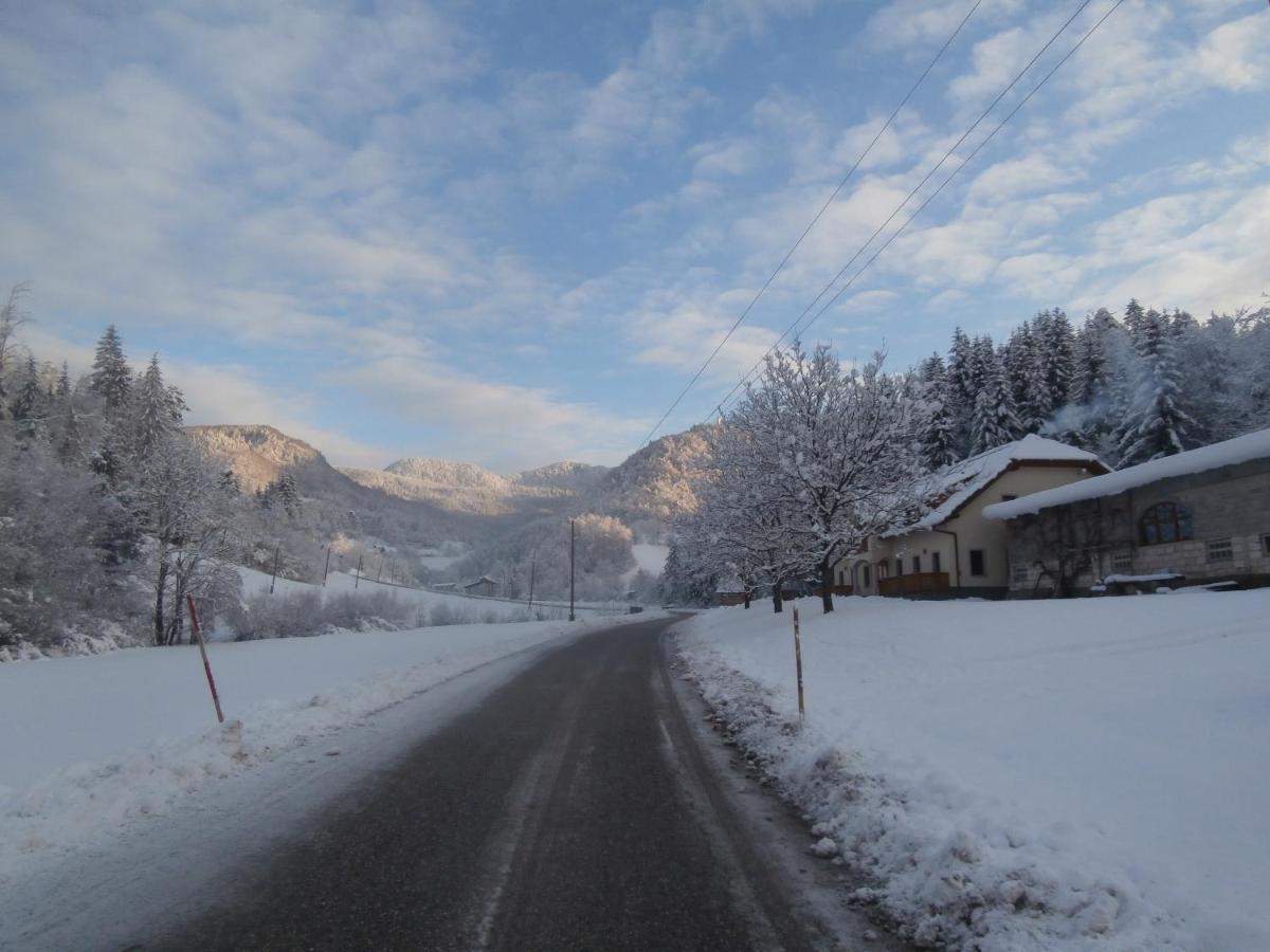 Simnovi Apartmaji - Surrounded By Nature